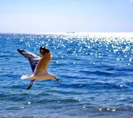 Atlantis - By S Paradise - Outdoor Jacuzzi & Seaview